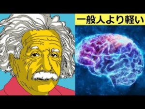 アインシュタイン博士の脳を研究した結果わかった事