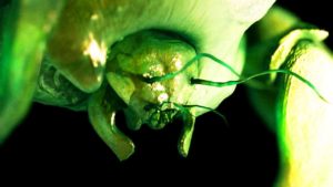 あなたの体内に潜むキモチワルイ9の事実