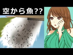 なぜ飛行機から魚を投下するのか？空から魚が降って来た事例