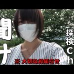 世界のフシギ探検chから大切なお知らせ