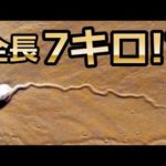 NASAも驚愕!火星で発見された衝撃画像5選