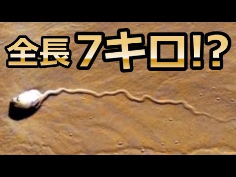 NASAも驚愕!火星で発見された衝撃画像5選