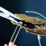 世界の驚くべき農場・養殖場TOP5