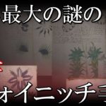 世界最大の奇書、未だ解決されない謎のヴォイニッチ手稿