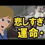 宇宙犬ライカの悲しすぎる物語に涙。