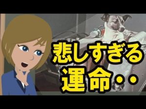 宇宙犬ライカの悲しすぎる物語に涙。