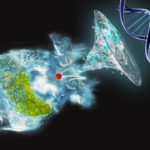 遺伝子を盗む生き物-ワムシ