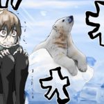 過酷すぎる環境！北極で暮す事はできるのか？検証してみた。