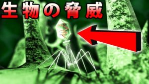 ウイルス―あらゆる生物の脅威