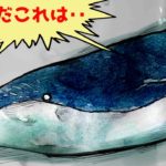 座礁したクジラに近づかないで！その理由をマンガにして見た。