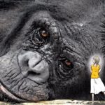 【漫画】かつて地球には巨人が住んでいた？その真相とは？！