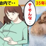 (実話漫画)母親の胎内で35歳になって産まれたストーンベビーの謎…