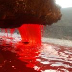 美しくも恐ろしい自然現象トップ7