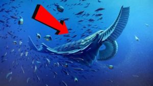 カンブリア爆発―なぜ生物は増えたのか