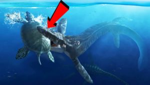 きわめて奇妙な絶滅動物