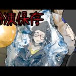 ついに私が冷凍保存されてしまった!