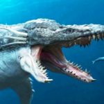 メガロドンより恐ろしい海の動物トップ7