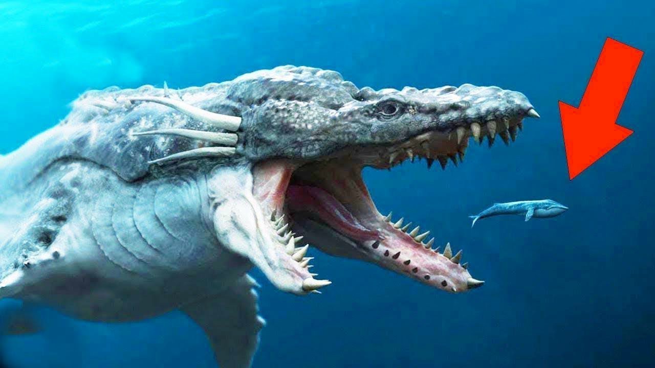 メガロドンより恐ろしい海の動物トップ7