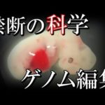 現代科学のタブー?現在行われている禁断のゲノム編集実験がとんでもない