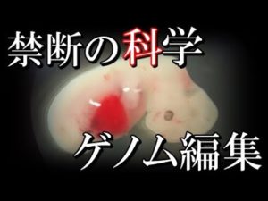 現代科学のタブー？現在行われている禁断のゲノム編集実験がとんでもない