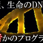 人類のDNAは組み込まれたプログラム?人類は何処からやってきたのか・・?