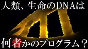 人類のDNAは組み込まれたプログラム？人類は何処からやってきたのか・・？