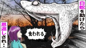 殺し屋が白蛇を助けたら、罠に嵌って命を狙われた瞬間に蛇が現れ･･
