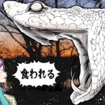 殺し屋が白蛇を助けたら、罠に嵌って命を狙われた瞬間に蛇が現れ･･