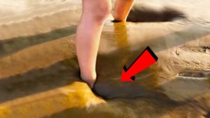 事件は地球で起きている! 摩訶不思議な現象トップ６