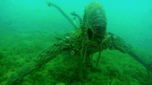 なぜここに! 水中での大発見トップ５！