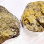 氷と永久凍土がもたらした奇跡の発見！