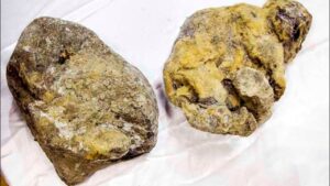 氷と永久凍土がもたらした奇跡の発見！