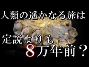 近年の古代DNA研究によって歴史を覆した考古学的発見５選
