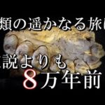近年の古代DNA研究によって歴史を覆した考古学的発見５選