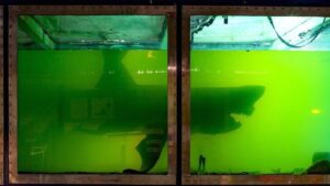 空き家で発見された意外すぎるものTOP6