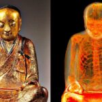 像の中から発見された意外なモノ TOP６！