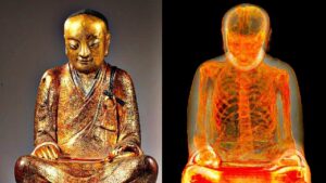 像の中から発見された意外なモノ TOP６！