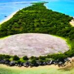 聞いたことない！驚きに満ちた島々ＴＯＰ６