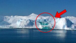 氷がもたらす感動と危険に満ちたサプライズ TOP６！