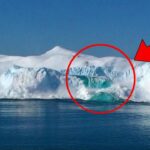 氷がもたらす感動と危険に満ちたサプライズ TOP６！