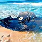 岸辺で発見された驚くべき物体 TOP6!