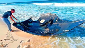 岸辺で発見された驚くべき物体 TOP６！