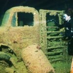 水中での驚くべき発見 TOP６！