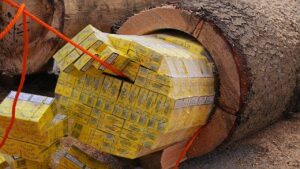 発想が天才的な密輸業者たちTOP6