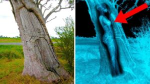 考古学者が発見した有り得ない最恐の発見TOP6