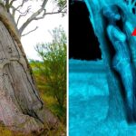 考古学者が発見した有り得ない最恐の発見TOP6