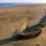 砂漠での驚きの発見TOP6