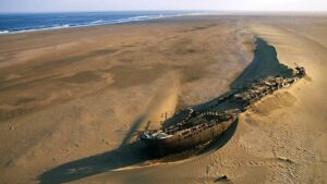 砂漠での驚きの発見TOP6