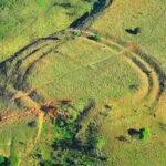 興味深い最新のミステリー!真相やいかに