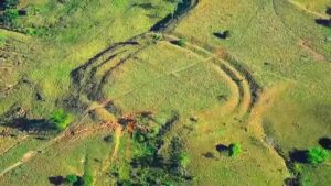 興味深い最新のミステリー！真相やいかに